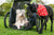 Croozer Jokke Dog Trailer | 45 kg, Silver Circle Pets, Pet Trailer, Croozer, 