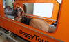 Doggy Tourer Beethoven XL Dog Bike TrailerDoggy Tourer Silver Circle Pets 