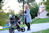 HPZ Pet Rover Prime 3-in-1 Pet Stroller Pet Strollers HPZ Pet Rover Silver Circle Pets 