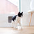 Hoopo Dome Cat Litter Box, Silver Circle Pets, Cat Litter Box, Hoopo, 