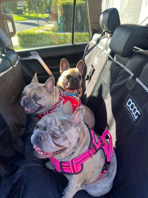 DOOG Dog Car Seat Cover | Rear Bench Seat | Large