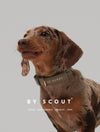 By Scout Vegan Leather Chef L'Bark Dog Collar