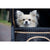 InnoPet® Adventure Dog Pram, Silver Circle Pets, Pet Strollers, Innopet, 