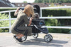 InnoPet® Monaco Dog Pram With Free Rain Cover Dog Stroller InnoPet Silver Circle Pets 