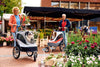 InnoPet® Sporty Deluxe Pet Pram & Dog Bike Trailer with Free Rain Cover Pet Strollers Innopet Silver Circle Pets 