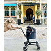 Innopet® City Hopper Dog Pram & Travel System Pet Strollers Innopet Silver Circle Pets 