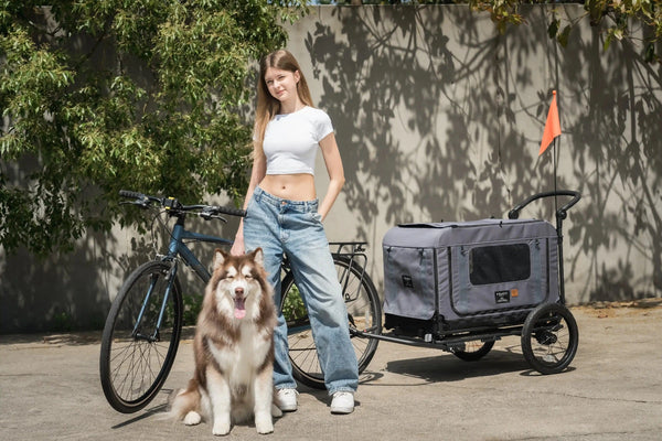 FikaGO King + Queen Pet Wagon | 3-in-1 Wagon & Kennel & Bike Trailer