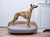 Labbvenn LOUE Dog Bed Dog Bed Labbvenn Silver Circle Pets 