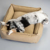 Labbvenn MØVIK Dog Bed Dog Bed Labbvenn Silver Circle Pets 