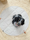 Labbvenn Okka Dog Travel Mat Travel Mat Labbvenn Silver Circle Pets 