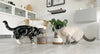 Labbvenn VUKU Ceramic Single Buffet Pet Bowls, Feeders & Waterers Labbvenn Silver Circle Pets 