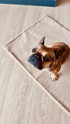 Laboni Multifunctional Outdoor and Travel Dog Blanket Teddy Dog Blanket Laboni Silver Circle Pets 