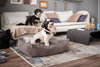 Laboni Orthopaedic Dog Bed Nova Dog Bed Laboni Silver Circle Pets 