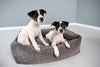 Laboni Orthopaedic Dog Bed Nova Dog Bed Laboni Silver Circle Pets 