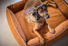 Laboni Orthopaedic Dog Bed Teddy Dog Bed Laboni Silver Circle Pets 