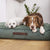 William Walker Dog Bed - Chill - Dark Moss - Luxury Dog Beds - Silver Circle Pets