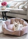 Oh Charlie Round Dog Bed Blissy Dog Bed Oh Charlie Silver Circle Pets 