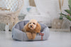 Oh Charlie Round Dog Bed Finessa Dog Bed Oh Charlie Silver Circle Pets 