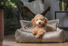 Oh Charlie Square Dog Bed Devine Dog Bed Oh Charlie Silver Circle Pets 