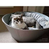 Pet Interiors CREDO Felt Designer Cat Bed Cat Bed Pet Interiors Silver Circle Pets 