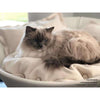 Pet Interiors Cosmo Buffalo Leather Deluxe Cat Bed Cat Bed Pet Interiors Silver Circle Pets 