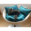 Pet Interiors Cosmo Buffalo Leather Deluxe Cat Bed Cat Bed Pet Interiors Silver Circle Pets 