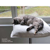 Pet Interiors Poet Designer Cat Bed Cat Bed Pet Interiors Silver Circle Pets 