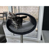 Pet Interiors Rondo Felt Cat Bed Stand Cat Bed Pet Interiors Silver Circle Pets 