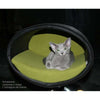 Pet Interiors Rondo Leather Cat Bed Stand Cat Bed Pet Interiors Silver Circle Pets 