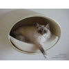 Pet Interiors Rondo Leather Cat Wall Climber Cat Bed Pet Interiors Silver Circle Pets 