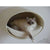 Pet Interiors Rondo Leatherette Cat Wall Climber, Silver Circle Pets, Cat Bed, Pet Interiors, 