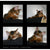 Pet Interiors Rondo Wicker Cat Wall Climber, Silver Circle Pets, Cat Bed, Pet Interiors, 