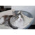 Pet Interiors Unique Cat Basket SIRO Twist, Silver Circle Pets, Cat Bed, Pet Interiors, 