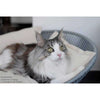 Pet Interiors Unique Cat Basket SIRO Twist Cat Bed Pet Interiors Silver Circle Pets 