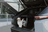 MIMsafe VarioCage Single Medium | 4th Gen Adjustable Dog Car Crate | Crash Tested