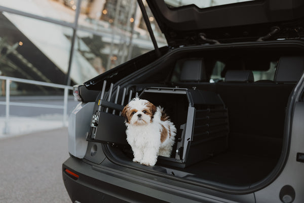 MIMsafe VarioCage Single Medium | 4th Gen Adjustable Dog Car Crate | Crash Tested