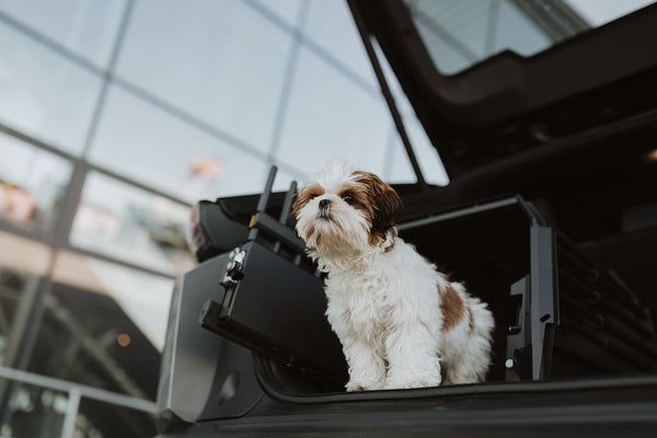 MIMsafe VarioCage Single Medium | 4th Gen Adjustable Dog Car Crate | Crash Tested