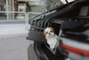 MIMsafe VarioCage Single Medium | 4th Gen Adjustable Dog Car Crate | Crash Tested