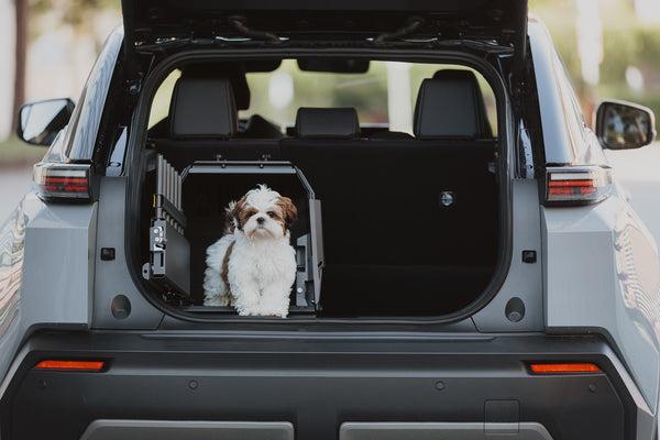 MIMsafe VarioCage Single Medium | 4th Gen Adjustable Dog Car Crate | Crash Tested