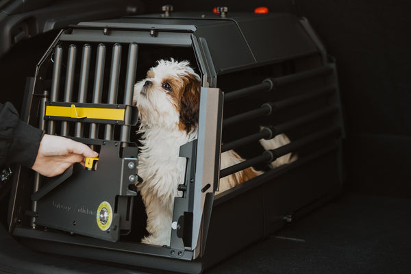 MIMsafe VarioCage Single Medium | 4th Gen Adjustable Dog Car Crate | Crash Tested