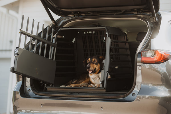 MIMsafe VarioCage Single Medium | 4th Gen Adjustable Dog Car Crate | Crash Tested