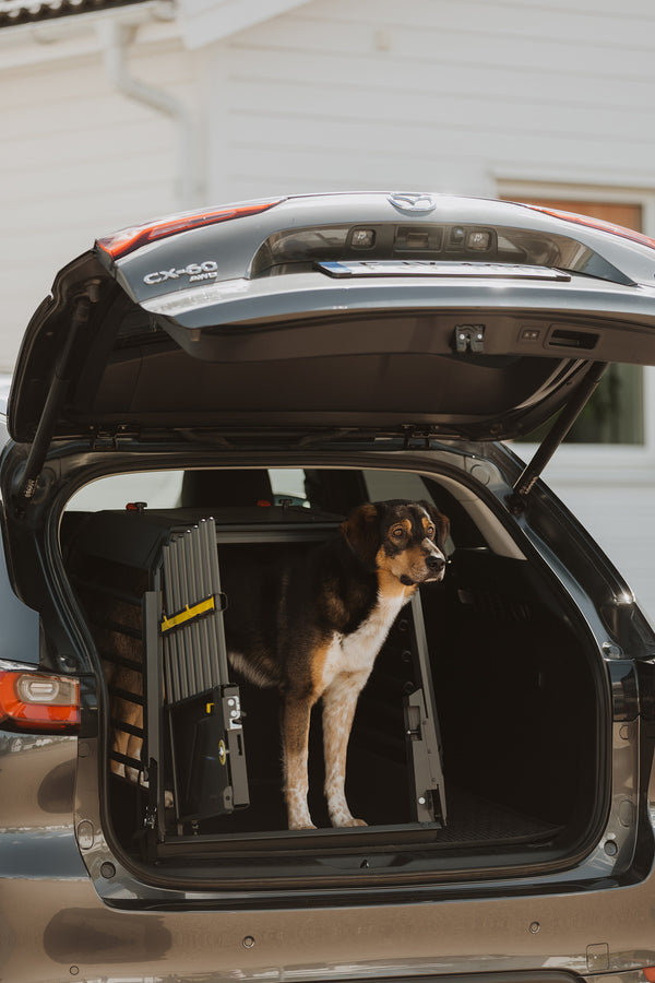 MIMsafe VarioCage Single Medium | 4th Gen Adjustable Dog Car Crate | Crash Tested