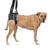 Walkin' Wheels - Walkin’ Lift Combo Dog Harness Rear, Silver Circle Pets, Dog Harness, Walkin Wheels, 