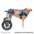 Walkin' Wheels - Walkin’ Lift Combo Dog Harness Rear, Silver Circle Pets, Dog Harness, Walkin Wheels, 