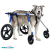 Walkin Wheels® Full Support/4-Wheel LARGE Dog Wheelchair Dog Wheel Chair Walkin Wheels Silver Circle Pets 