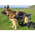 Walkin Wheels® LARGE Rear Dog Wheelchair, Silver Circle Pets, Dog Wheel Chair, Walkin Wheels, 
