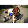 Walkin Wheels® MEDIUM/LARGE Rear Dog Wheelchair Dog Wheel Chair Walkin Wheels Silver Circle Pets 