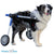 Walkin Wheels® MEDIUM Rear Dog Wheelchair, Silver Circle Pets, Dog Wheel Chair, Walkin Wheels, Title