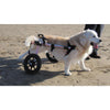 Walkin Wheels® MEDIUM Rear Dog Wheelchair Dog Wheel Chair Walkin Wheels Silver Circle Pets 