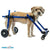 Walkin Wheels® MINI Front Wheel Attachment, Silver Circle Pets, Dog Wheelchairs, Walkin Wheels, Title